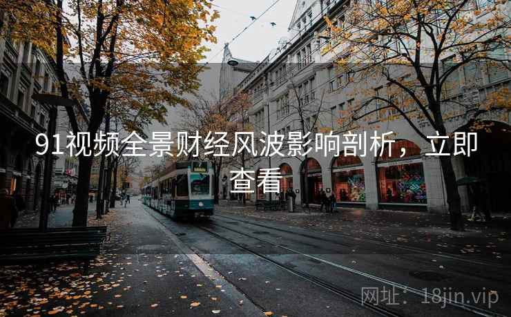 91视频全景财经风波影响剖析，立即查看