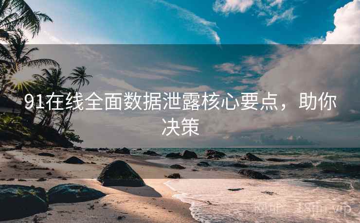 91在线全面数据泄露核心要点，助你决策