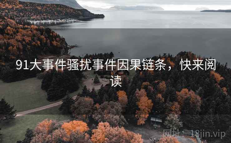 91大事件骚扰事件因果链条，快来阅读